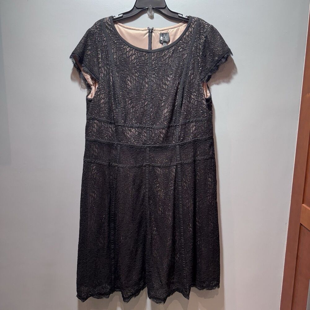 Women's Adrianna Papell Black And Nude Lace Plus Size Dress Size 22W